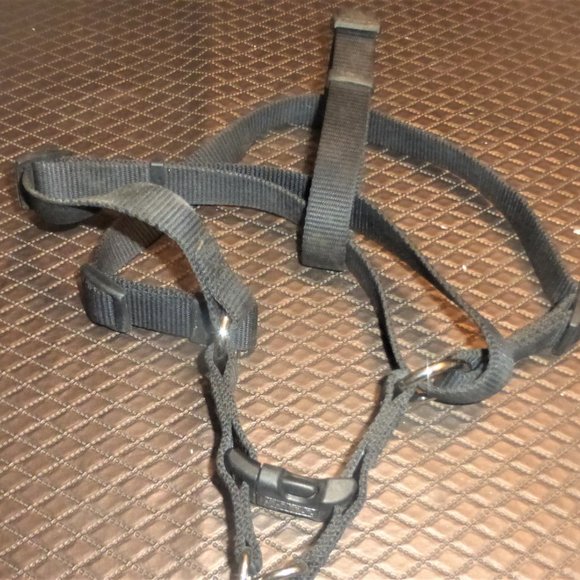 ST5 - Lot of DOG GEAR Size M-L Dog Collar Dog Leash Dog Coat Dog Jacket - Picture 7 of 11